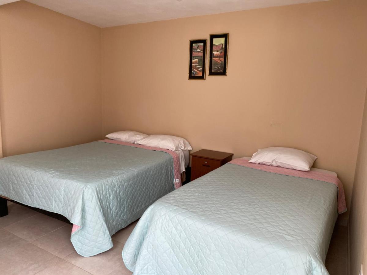Lonko Hostel อาเรกิปา ภายนอก รูปภาพ